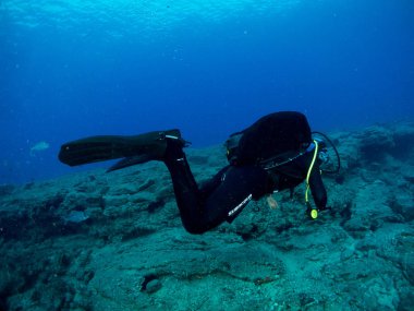 fondo marino azul en la costa brava con corales y makro
