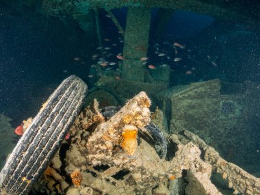 deniz altında batık gemi ile
