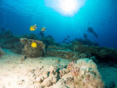 deniz altında batık gemi ile