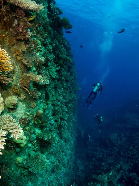 Navire Coulé Avec Sous Mer — Photo