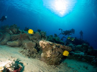 deniz altında batık gemi ile