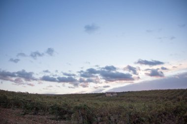 üzüm bağları büyük expanses