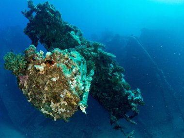 Costa Brava 'da batık tekne boreas