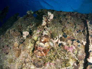 Costa Brava 'da batık tekne boreas