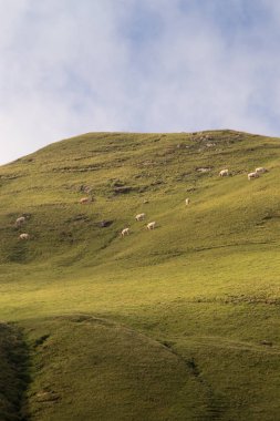dağlar ve mavi gökyüzü manzara