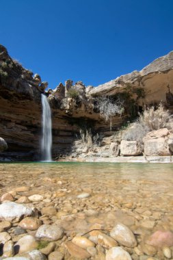 Doğal ortamda nehir ve şelale