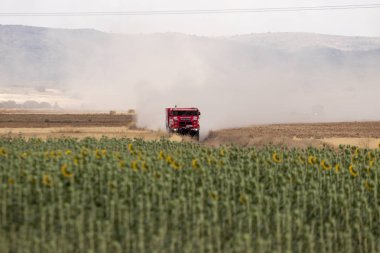 İspanya'da rekabet te yarış kamyonu