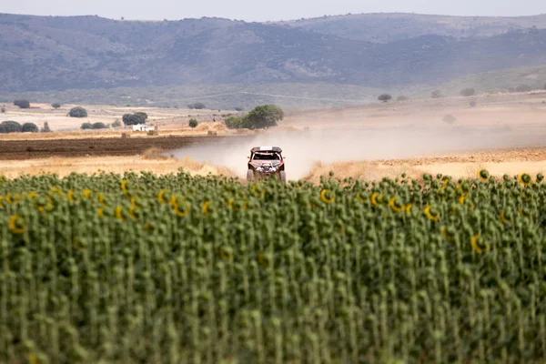 İspanya'da rekabet te yarış kamyonu
