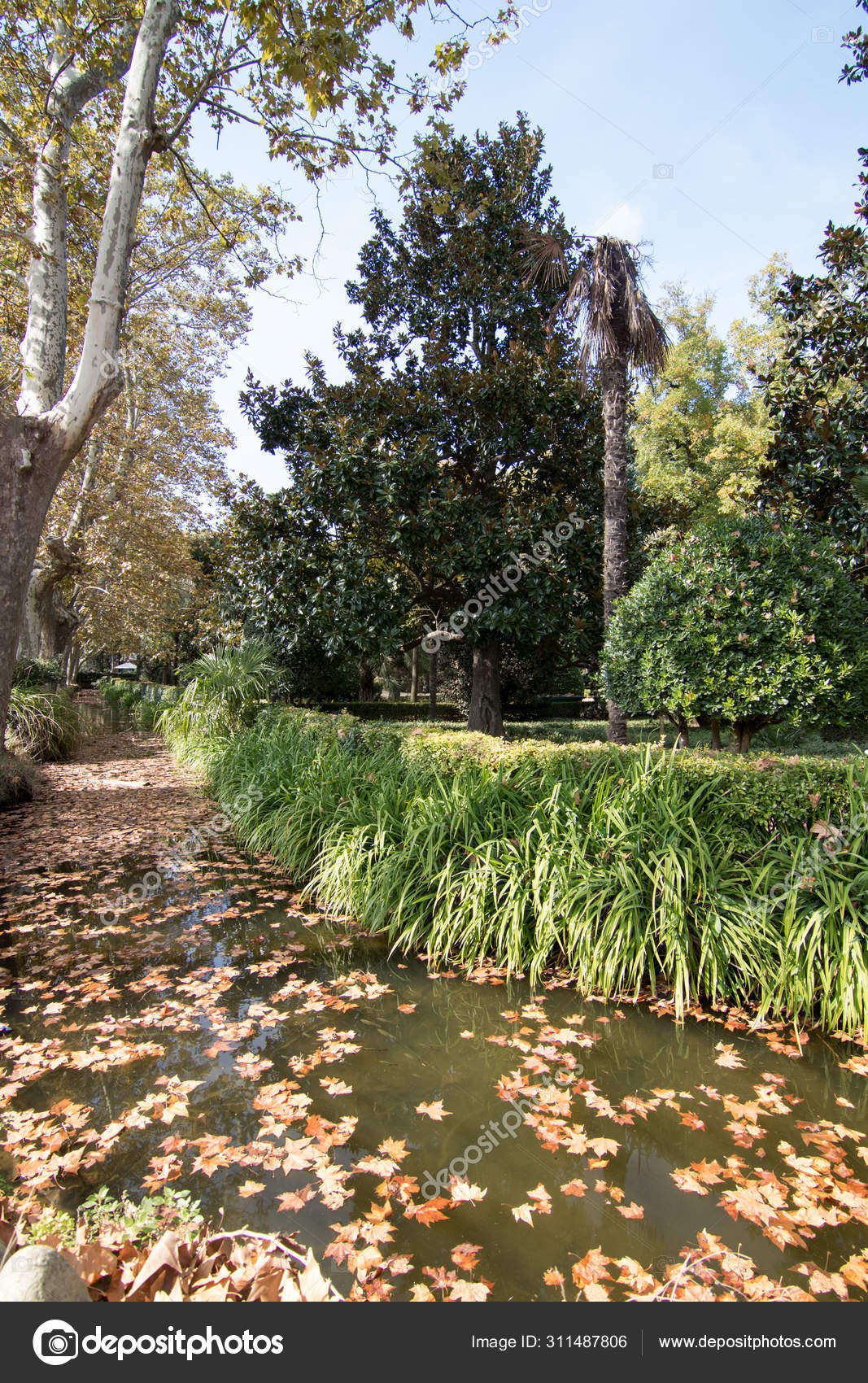 Nice Garden Trees Stock Photo C Carulophotos 311487806