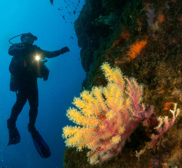 submariner under the ocean