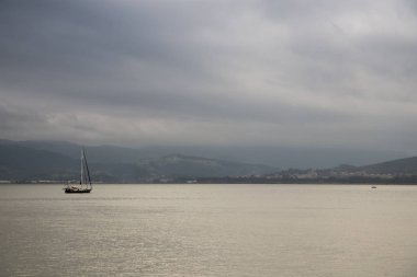 Deniz taşlarının ve kumların doğal manzarası
