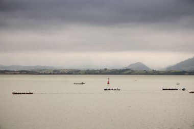 Deniz taşlarının ve kumların doğal manzarası