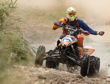 Baja aragonunda dörtlü rekabet