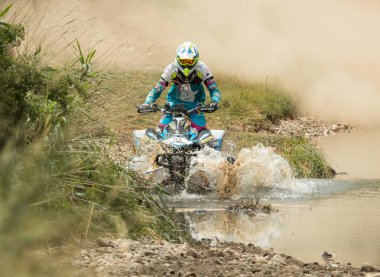 Baja aragonunda dörtlü rekabet