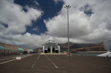 Doğal ortamlarında güzel foklar