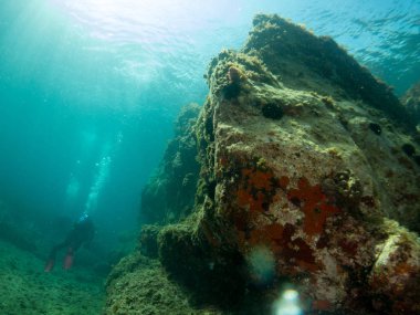Mercan ve makroyla kaplı deniz yatağı