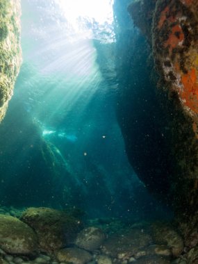 Mercan ve makroyla kaplı deniz yatağı
