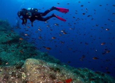 Mercan ve makroyla kaplı deniz yatağı