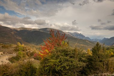 İspanya 'da mavi gökyüzü olan doğal manzara
