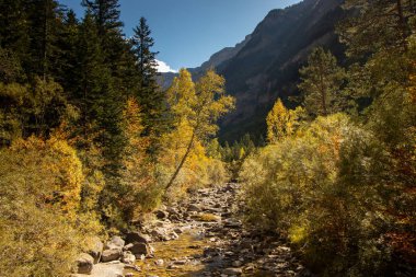 İspanya 'da mavi gökyüzü olan doğal manzara