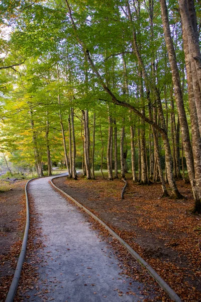 Natuurlandschap Met Blauwe Lucht Spanje — Stockfoto