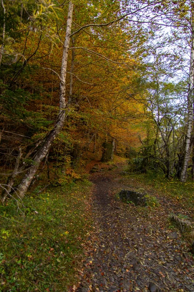 Přírodní Krajina Modrou Oblohou Španělsku — Stock fotografie