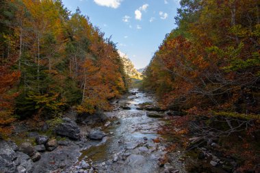 İspanya 'da mavi gökyüzü olan doğal manzara