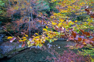 İspanya 'da mavi gökyüzü olan doğal manzara