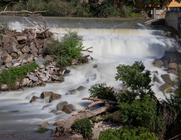 Flod Naturlig Miljö — Stockfoto