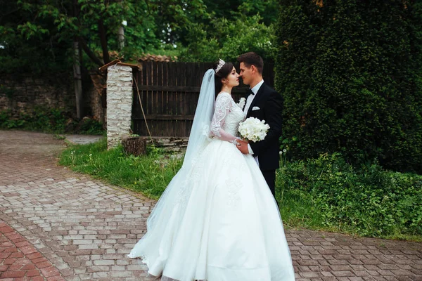 Ritratto di un meraviglioso matrimonio — Foto Stock