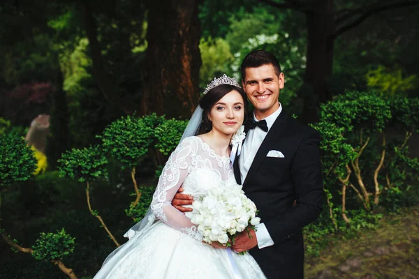 Gran retrato de una pareja de bodas muy hermosa —  Fotos de Stock