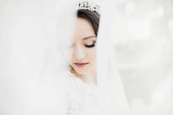 Wonderful portrait of a beautiful bride — Stock Photo, Image