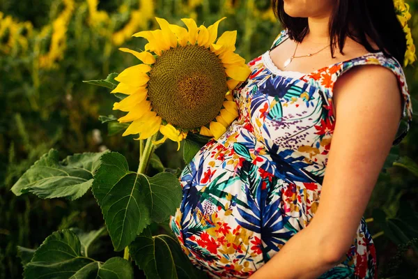 Great picture of a pregnant woman in a field of sunflowers — Stock Photo, Image