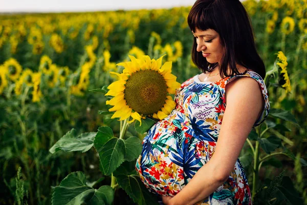 Grande imagem de uma mulher grávida em um campo de girassóis — Fotografia de Stock