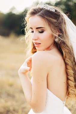 Güzel bir diadem başında ile güzel bir gelin portresi. 