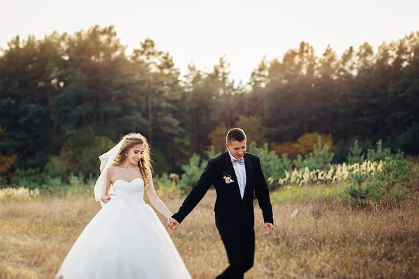 Gran retrato de una pareja de boda, que está caminando en el campo —  Fotos de Stock