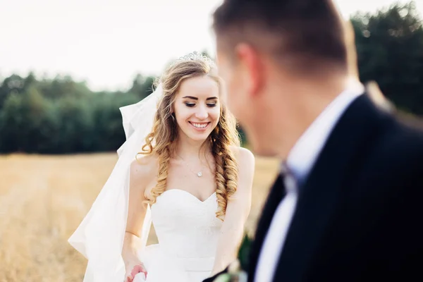 Gran retrato de una pareja de boda, que está caminando en el campo —  Fotos de Stock