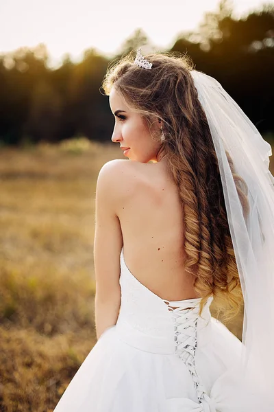 Bonito retrato de una hermosa novia con una diadema en la cabeza . —  Fotos de Stock