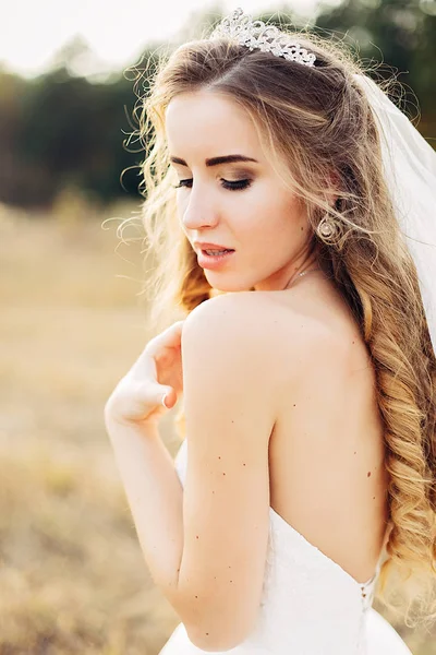 Bel ritratto di una bella sposa con un diadema in testa . — Foto Stock