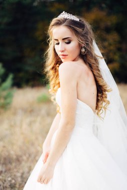 Güzel bir diadem başında ile güzel bir gelin portresi. 