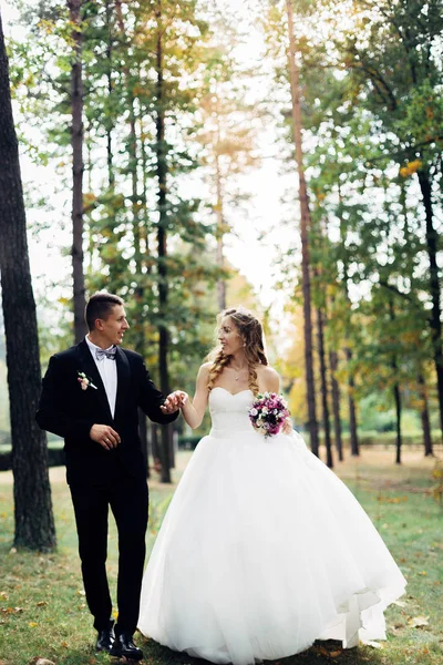 公園を散歩して、結婚式のカップルの偉大な肖像画 — ストック写真