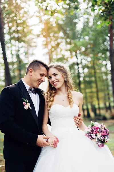 Gran retrato de una pareja de bodas, que está caminando en el parque —  Fotos de Stock