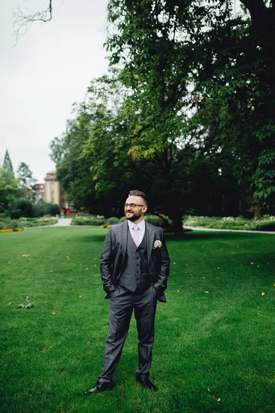 Portrait of a handsome groom in a grey suit with a tie and vest. — Stock Photo, Image