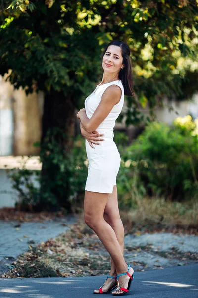 Güzel bir bayanın portresi. 