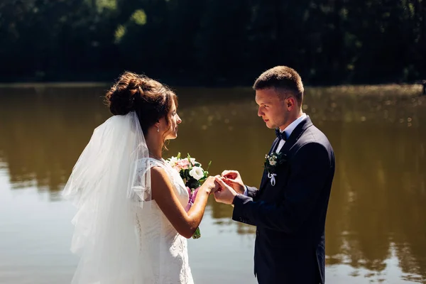 Retrato de una pareja de boda increíble . —  Fotos de Stock