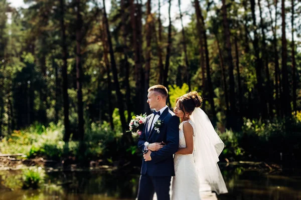 Retrato Una Increíble Pareja Novios Están Pie Cerca Del Bosque —  Fotos de Stock