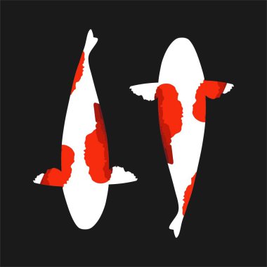 Koi logo japon balık japon sembolü arka plan illüstrasyon vektör stok