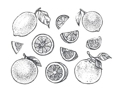 Limon, portakal ve limon ile narenciye Icons set