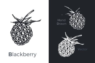 El blackberry simgeleri çizilmiş. Vektör çizim