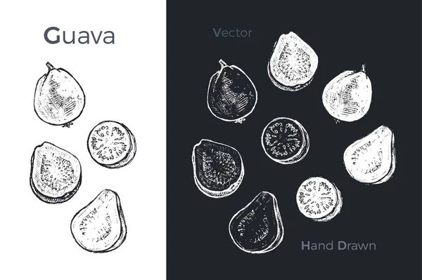 Iconos de guayaba hechos a mano. Ilustración vectorial — Vector de stock